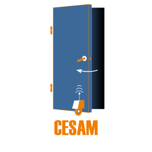 Logo CESAM-300x300.png