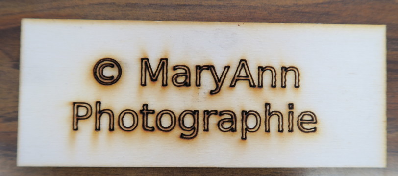 Maryannphototest1peuplier.JPG