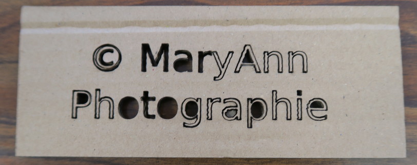 Maryannphototestcarton.JPG