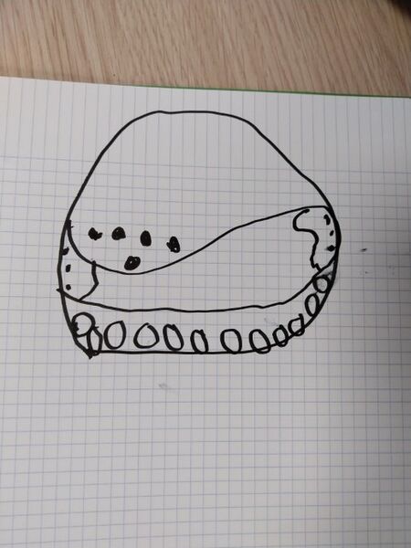 Fichier:Dessin casque Timeo.jpg