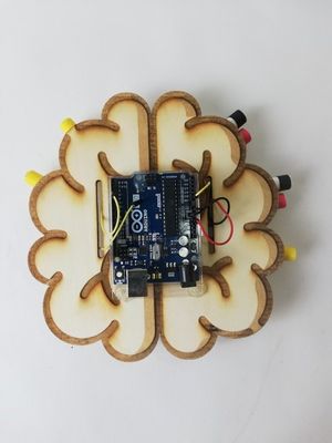 Cerveau arduino recto.jpg