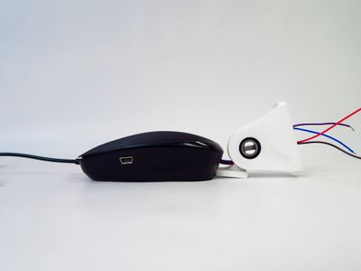 Bionic mouse.jpg